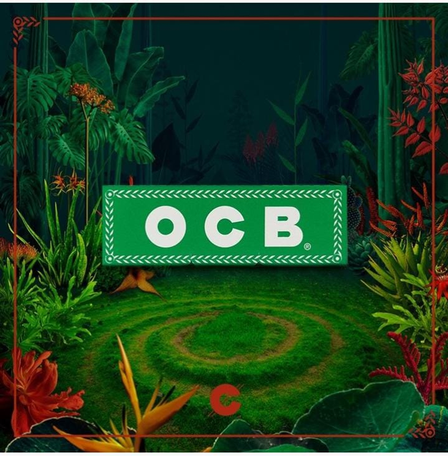 OCB Verde Nº 8   caja x 50 Lib. 50 hojas 